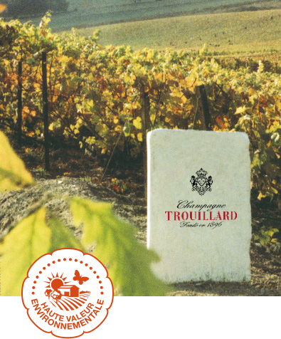 Champagne Trouillard - Vignoble HVE